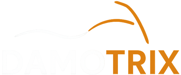 Logo Damotrix